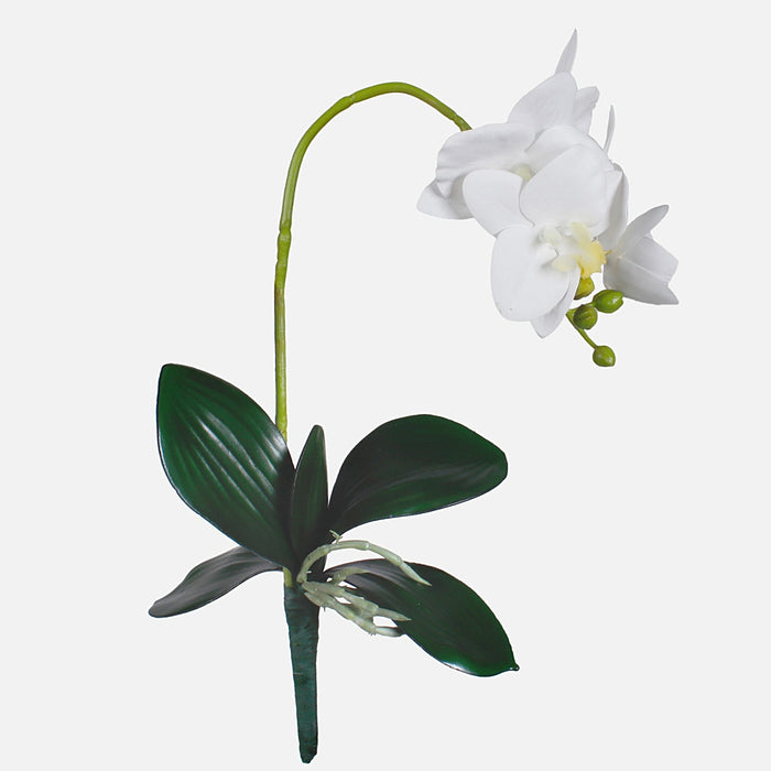Artificial cream and yellow orchid flowers on a green stem with green leaves at the base