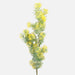 Artificial green and yellow cypress stem