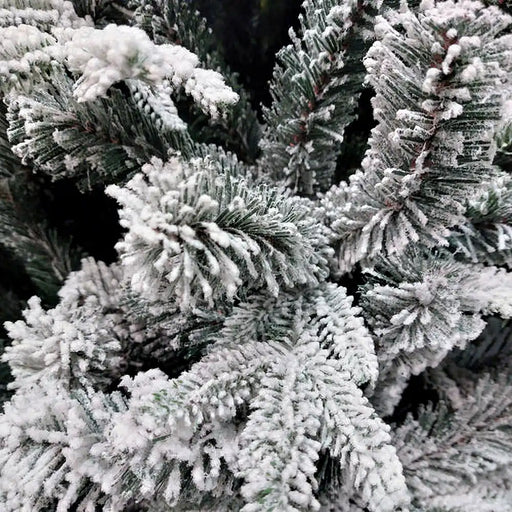 Frosted McKinley Spruce Christmas Tree