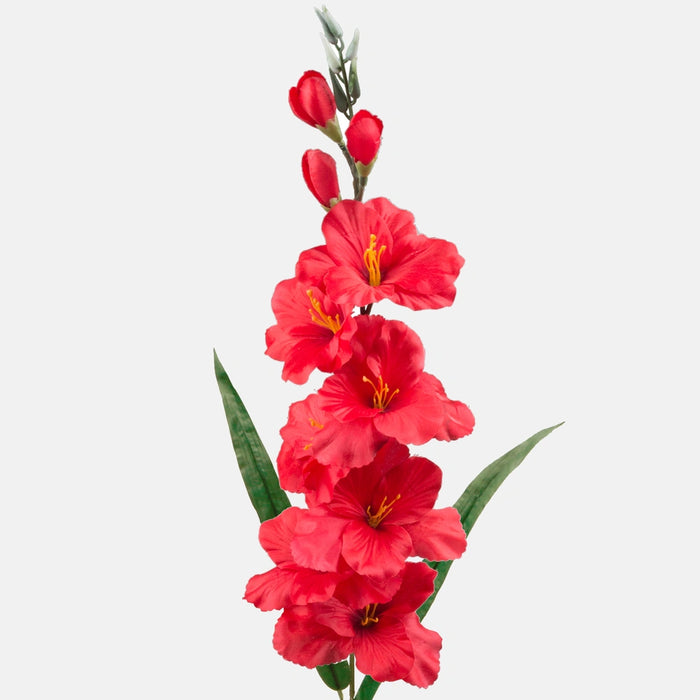 The Gladiolus twig features a large number of beautiful red satin flowers