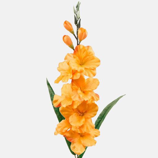 The Gladiolus twig features a large number of beautiful orange satin flowers