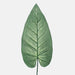Artificial Green Giant Sequoia Leaf