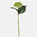Artificial green hydrangea seeds on stem with green leaves