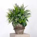 Artificial Flower Arrangement with Green Pincushion Proteas