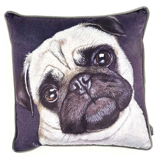 A hand painted Pug printed on velvet cushion