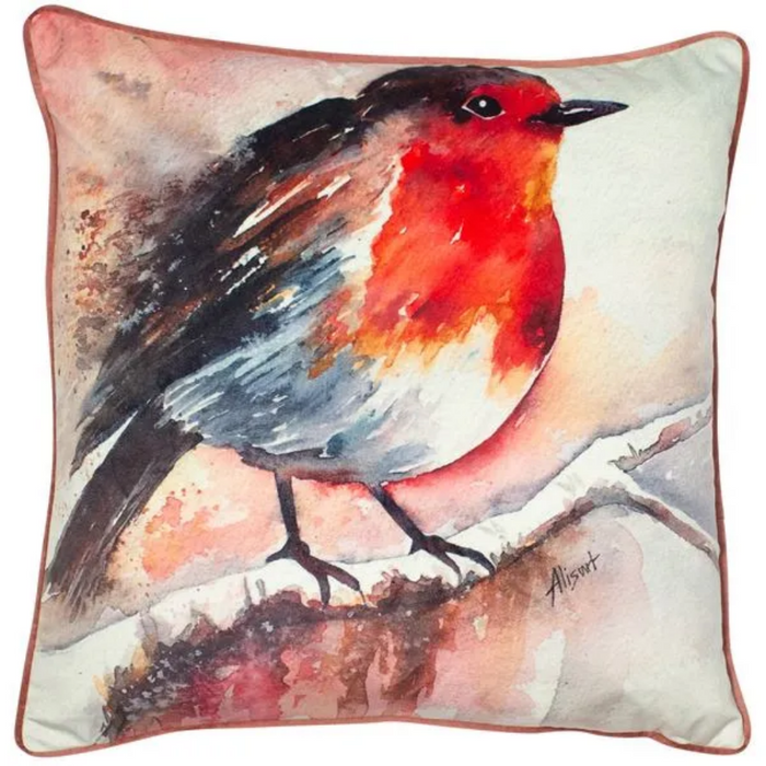 Hand painted Robin in beautiful colours and printed on velvet cushion