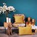 A living room setting with a chair and Meghan mustard soft matte velvet cushion, complete with thick fringed edges