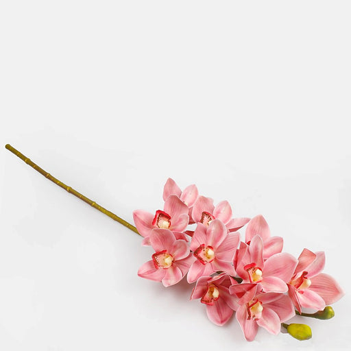 Pink orchid twig with a large collection of flowers, topped with 2 green buds