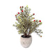 Potted Green Pine Tree with Red Berries