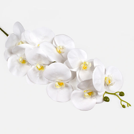 Artificial white orchid flowers on a green stem with green buds