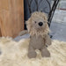 A soft scruffy lion stuffed doorstop