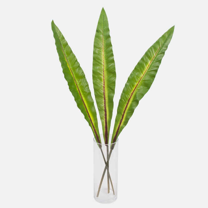 Strelitia Artificial Leaves XL Green