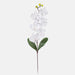 White orchid twig with a satiny crafted flower featuring dark green leaves