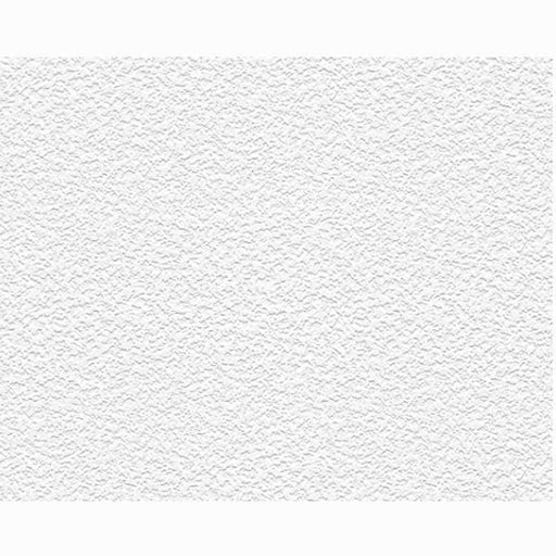 Paintable white wallpaper with an extra grainy texture
