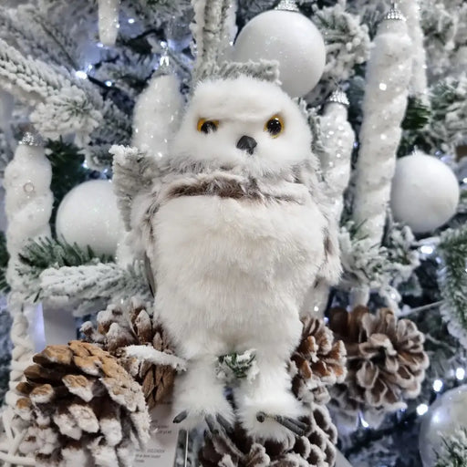 White & Grey Feathered Owl