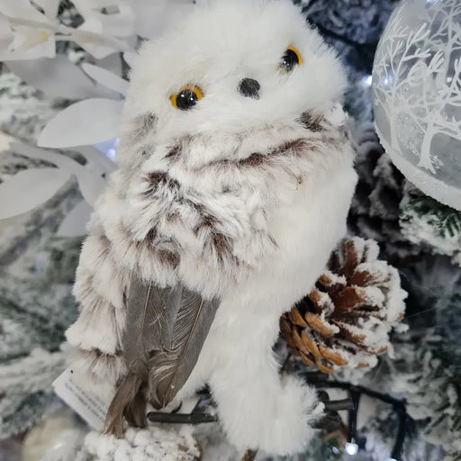 White & Grey Feathered Owl