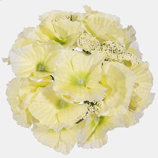Delightful and carefully crafted yellow and green hydrangea head